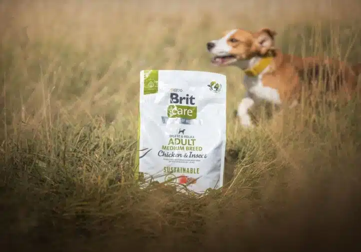 Jak często powinna być serwowana sucha karma dla średnich psów?